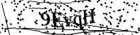 Geben Sie bitte die unten stehenden Buchstaben ein