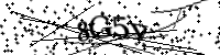 Geben Sie bitte die unten stehenden Buchstaben ein