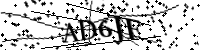 Geben Sie bitte die unten stehenden Buchstaben ein