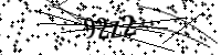 Geben Sie bitte die unten stehenden Buchstaben ein